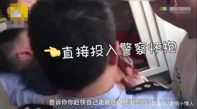 编剧！偷猫事件背后的崩铁3.3欢乐吐槽分析